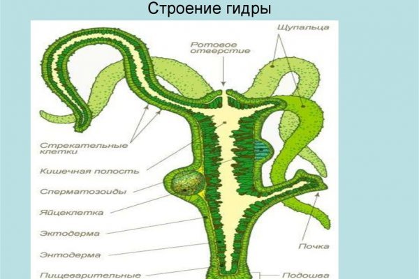 Кракен наркоплейс